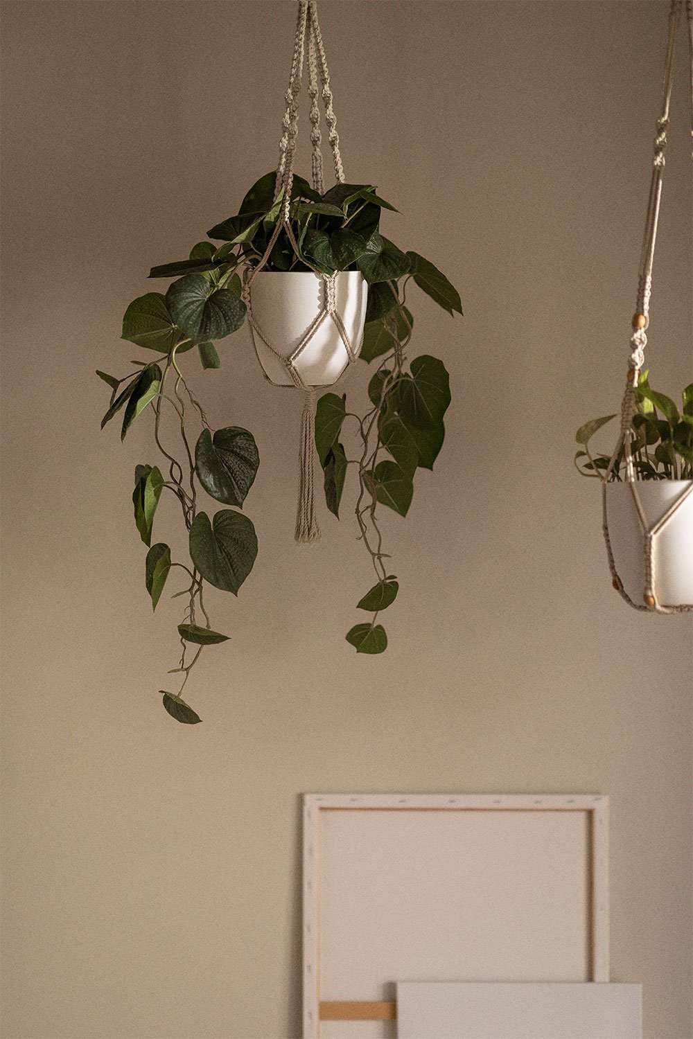 Marduc macrame hanging planter, gallery image 1
