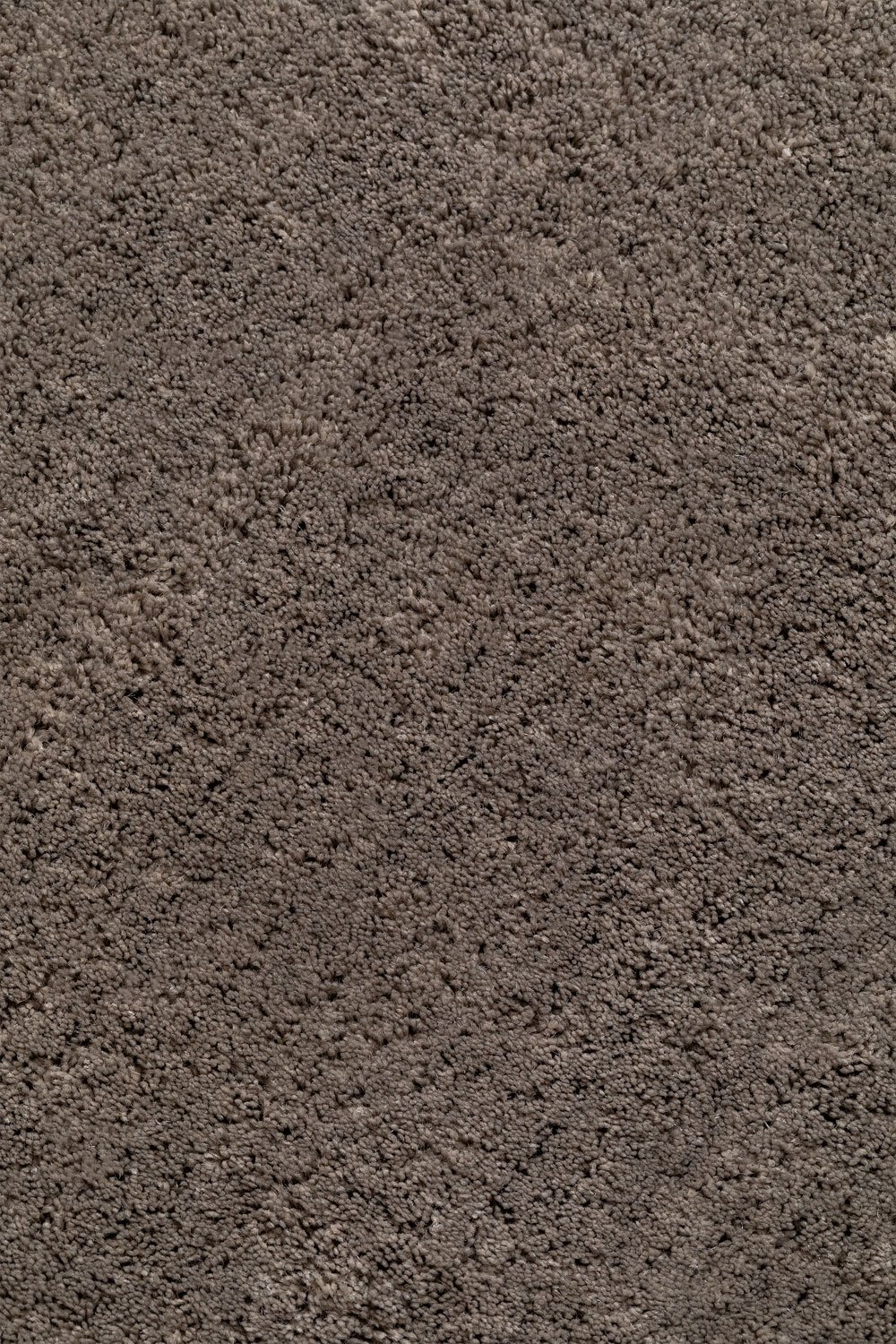 Daroca carpet, gallery image 4