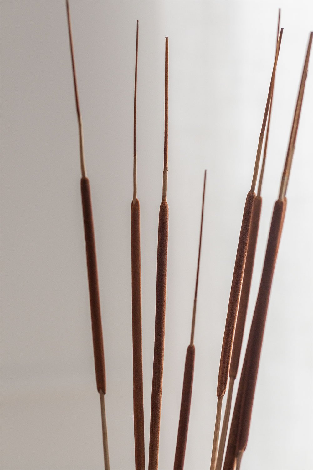 Stoilan pack 10 decorative dried stems, gallery image 2