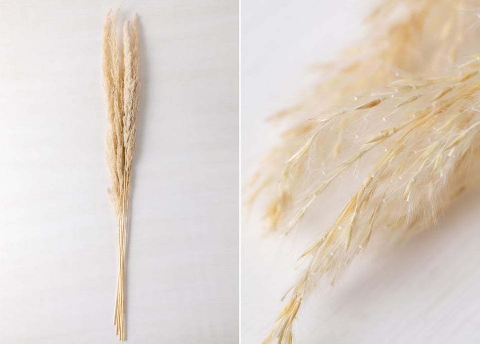 Pack of 6 decorative dried branches Megina