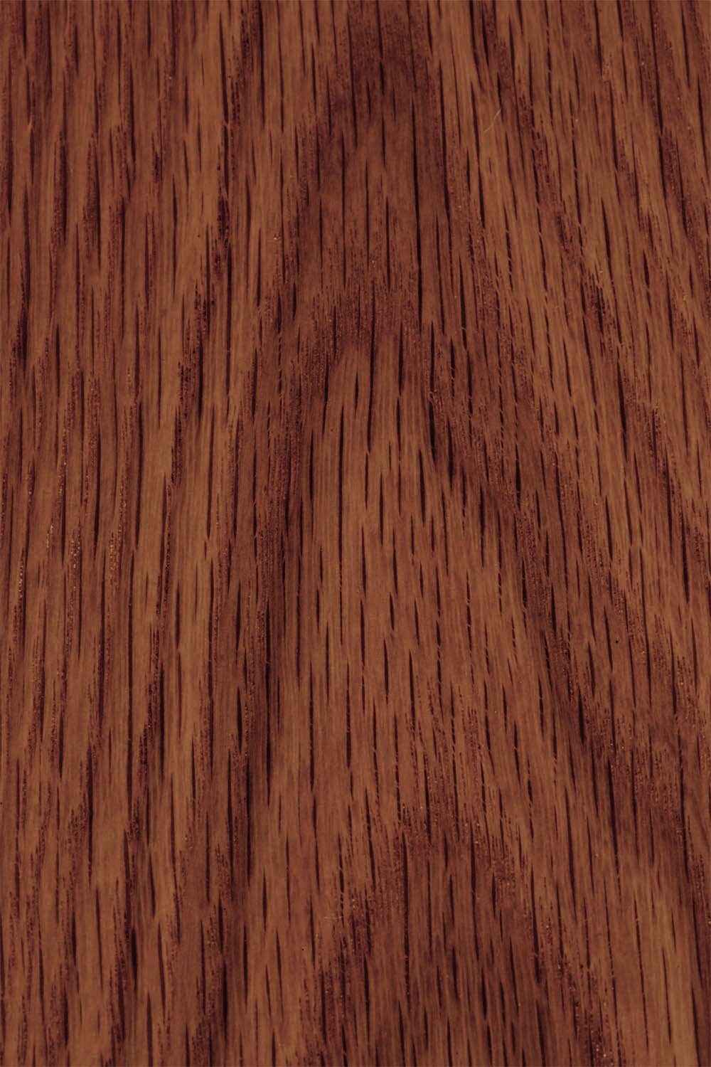 Rectangular coffee table 100x65 cm in Treveris wood, gallery image 4