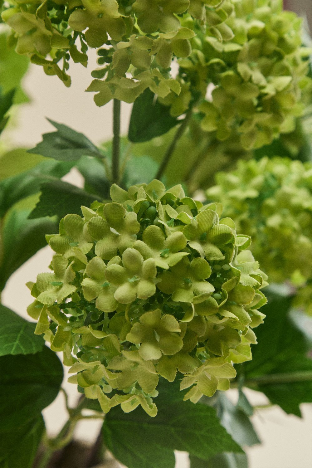 Atlantia decorative bouquet, gallery image 2