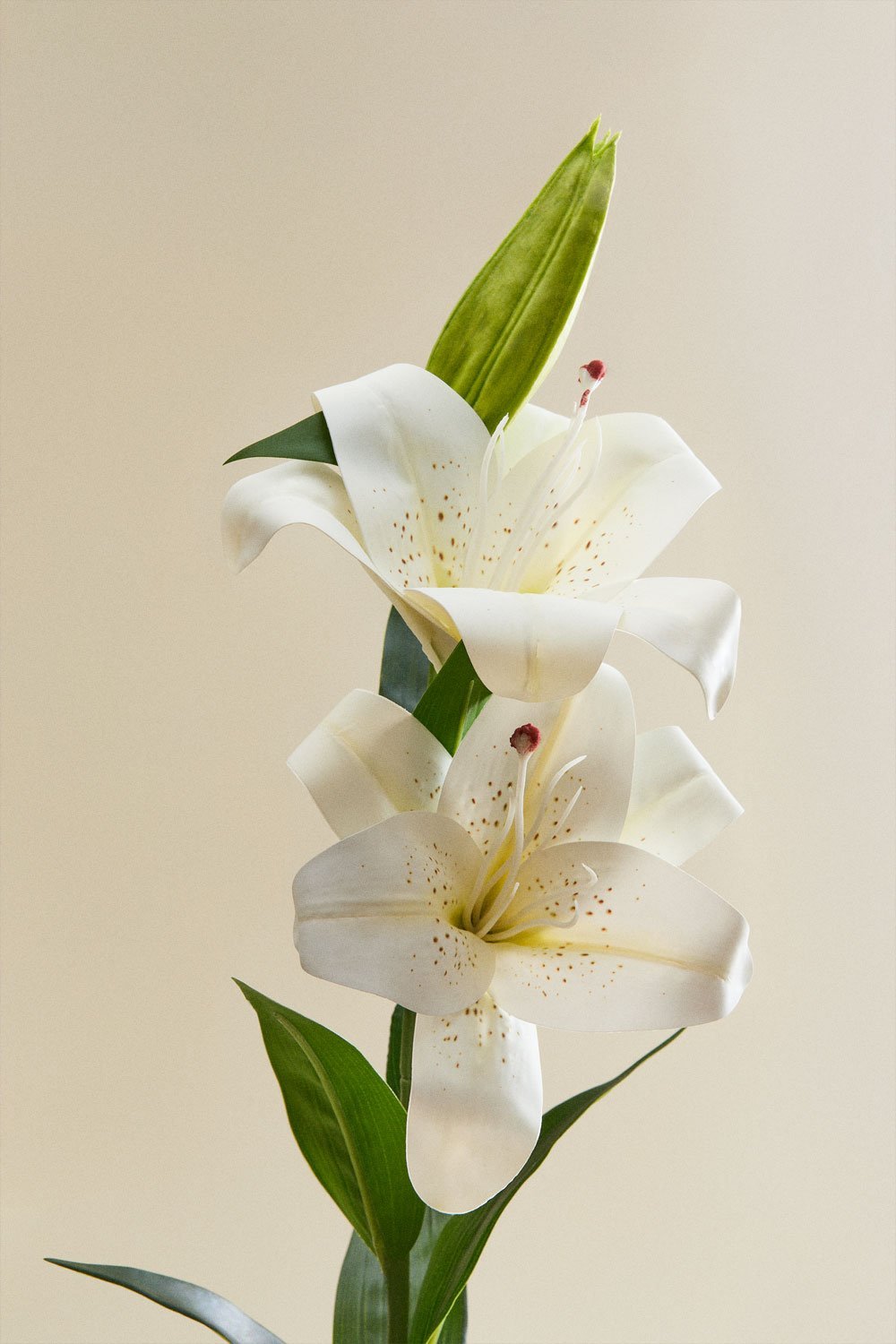 Agavriel decorative bouquet, gallery image 4