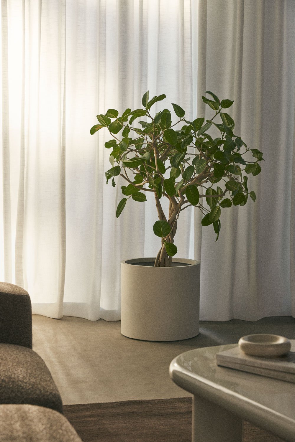 Aurevi cement planter, gallery image 4