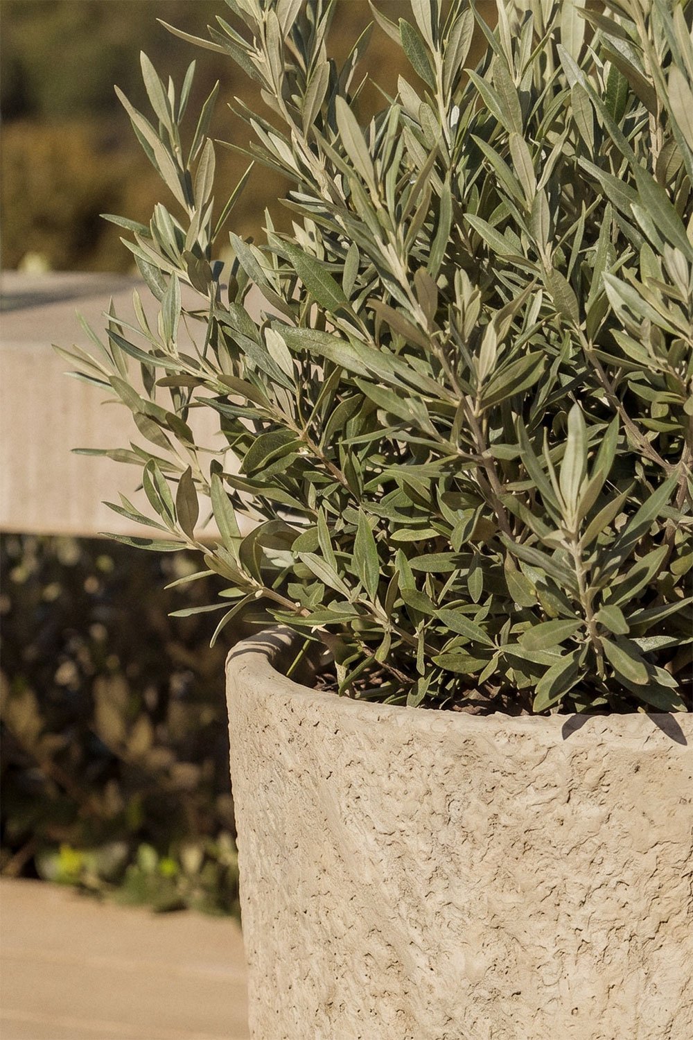 Outdoor cement planter Nuria, gallery image 2