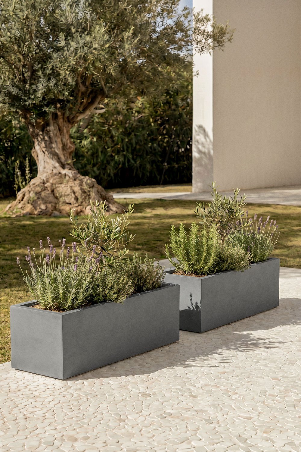 Rectangular outdoor cement planter Sergio, gallery image 1