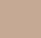 Orzech laskowy brązowy