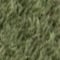 Samt Verde Caqui