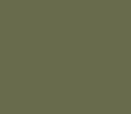 Intensywny Verde Olive