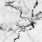 White Marble with Gray Veins
