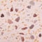 Lichtroze Terrazzo