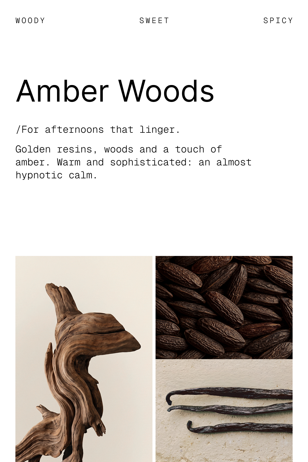 Amber Woods