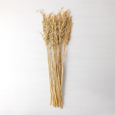 Bouquet Decorativo Jayra Beige Crema - Sklum