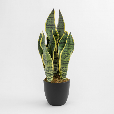 Pianta Artificiale Decorativa Sansevieria 40 Cm 40 Cm - Sklum
