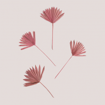 Confezione Da 4 Rami Secchi Decorativi Urpek Rosa Peonia - Sklum