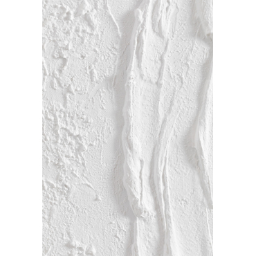 Quadro Decorativo In Rilievo In Gesso (60x90 Cm) Severine Bianco - Sklum