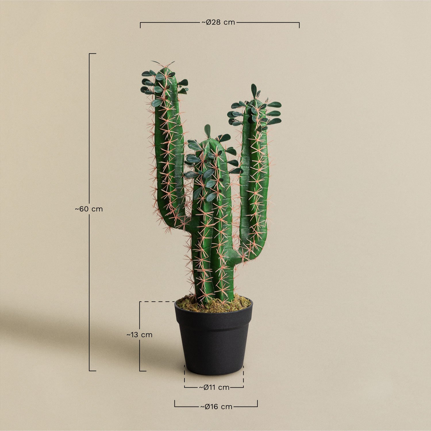 Finto Cactus Artificiale piatto 20cm in vaso -  Italia