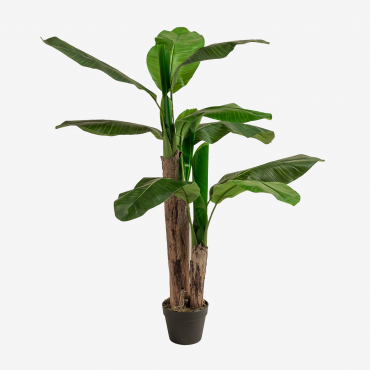 Pianta Di Banano Artificiale Decorativa 140 Cm ↑140 Cm - Sklum