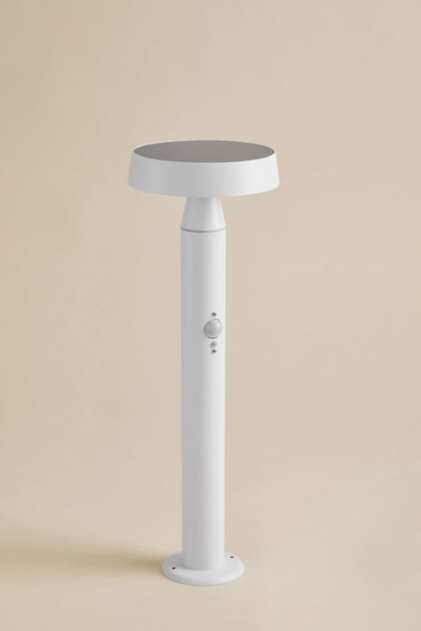 Faro LED solare da esterno Bravissia in acciaio inox