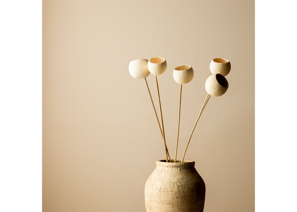 Confezione da 5 rami secchi decorativi di Aegle