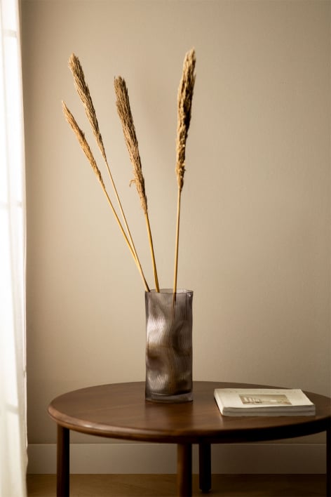 Pack di 4 rami secchi decorativi Pampy