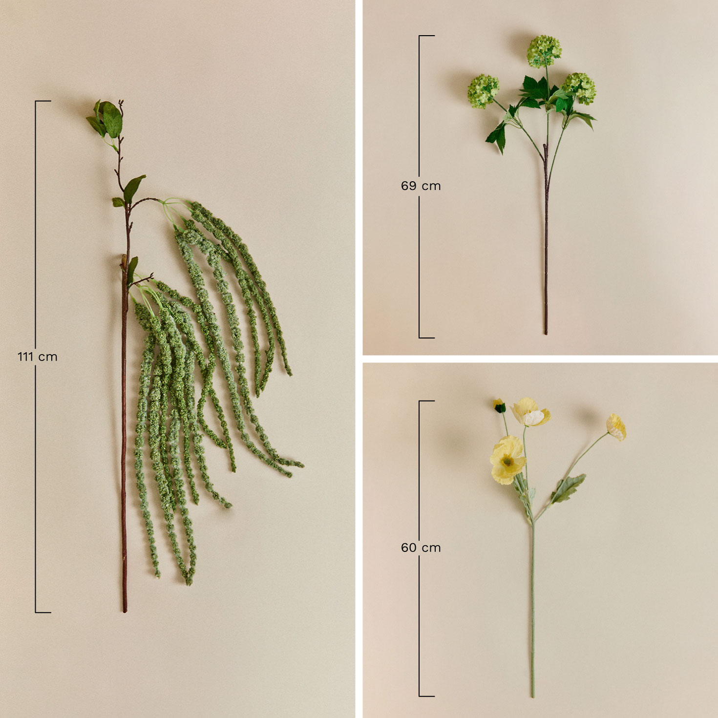 Ramo decorativo Sylphiran, MISURE