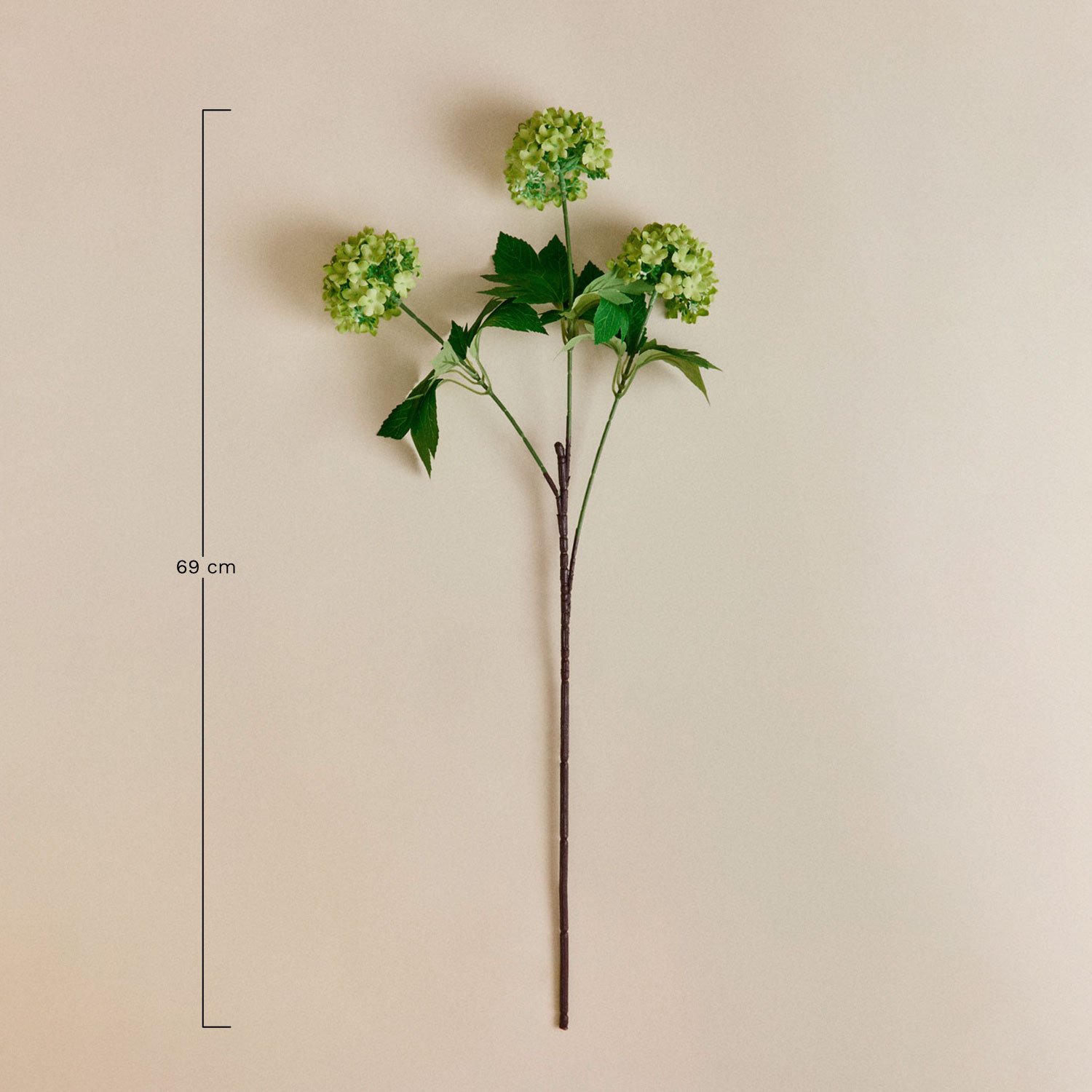 Bouquet decorativo Atlantia, MISURE