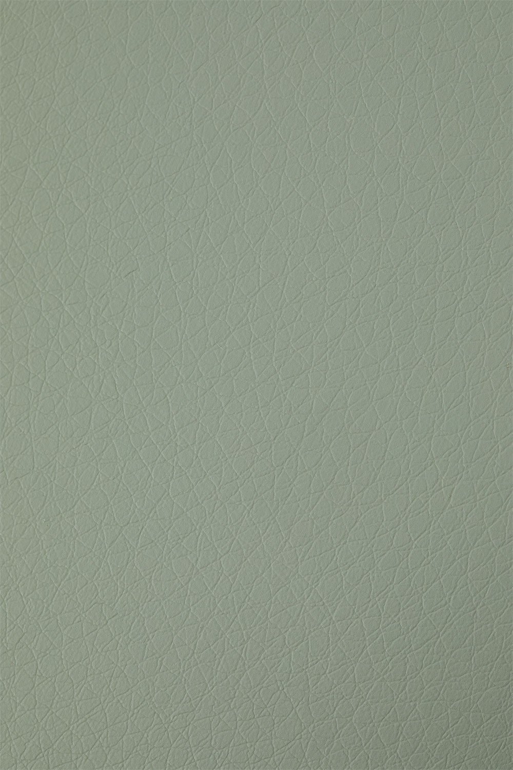 Sedia da pranzo in polipropilene e legno di faggio Belyna, immagine della galleria 7