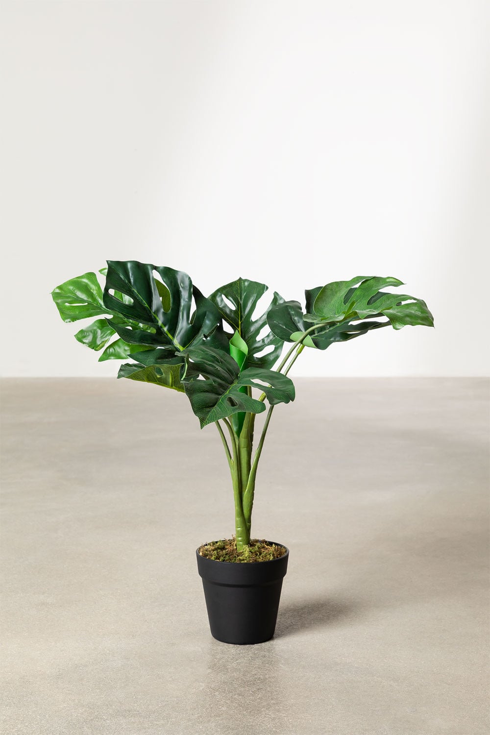 Pianta Artificiale Erba Della Pampa Con Vaso 90 Cm - Arnusa - Decorazione Realistica Per Soggiorno, Camera O Ufficio