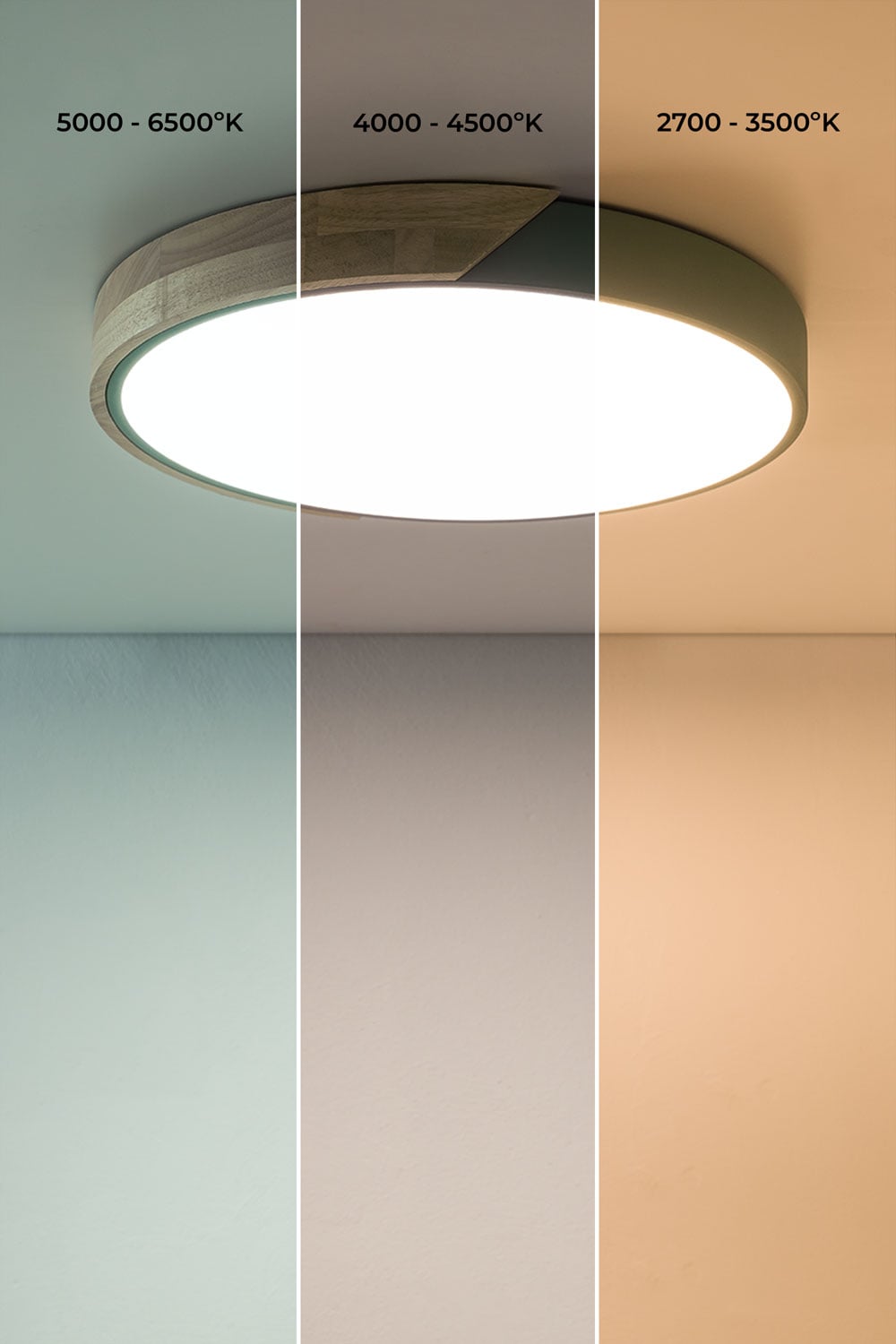 Plafoniera da soffitto LED rotonda in ferro Jan, immagine della galleria 5