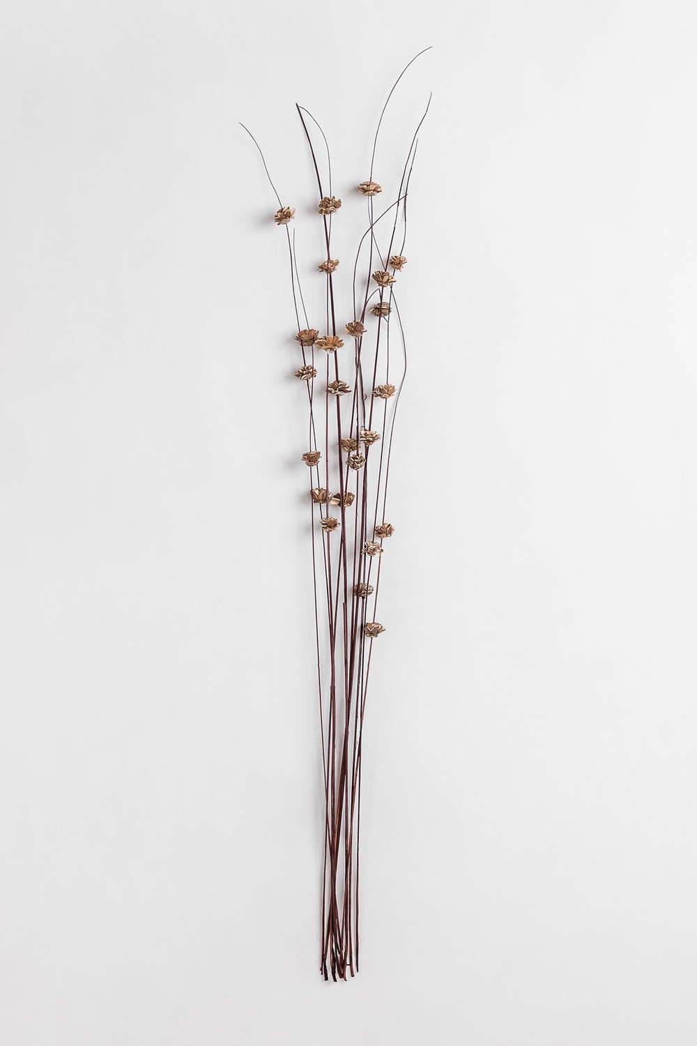 Confezione da 10 rami decorativi secchi di zinia, immagine della galleria 1