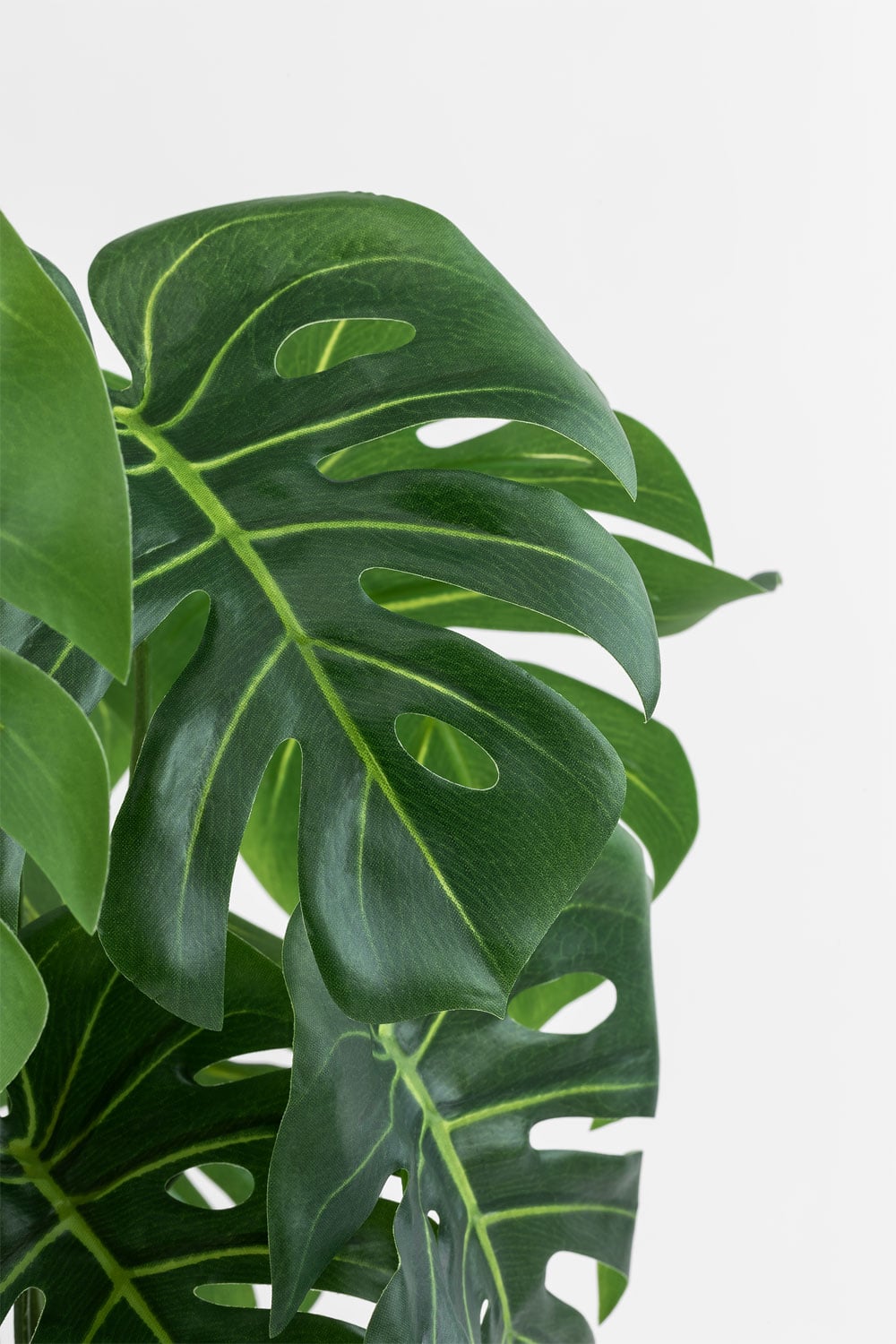 Dracaena HT180 Pianta Artificiale Yucca Rossa 1,8m – Albero Finto Realistico Per Interni Con Vaso Stabile
