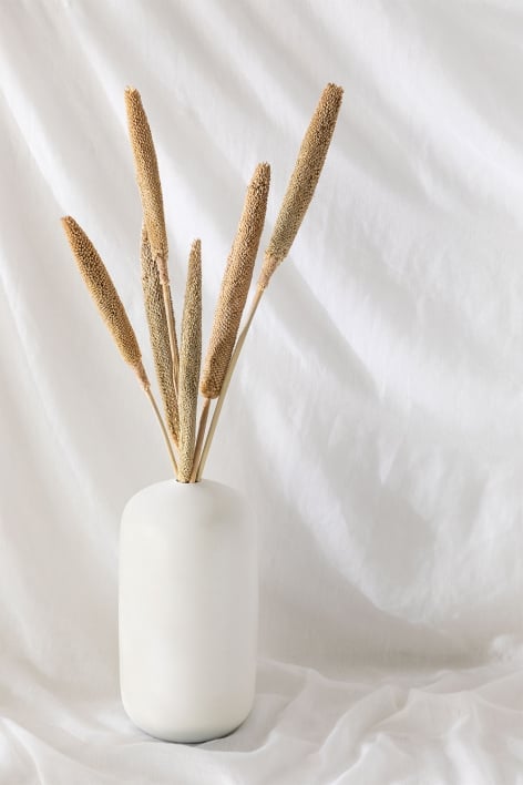 Fiori secchi Massasa bianco rami decorativi 50-55 cm mazzo  di 6 pezzi-3195