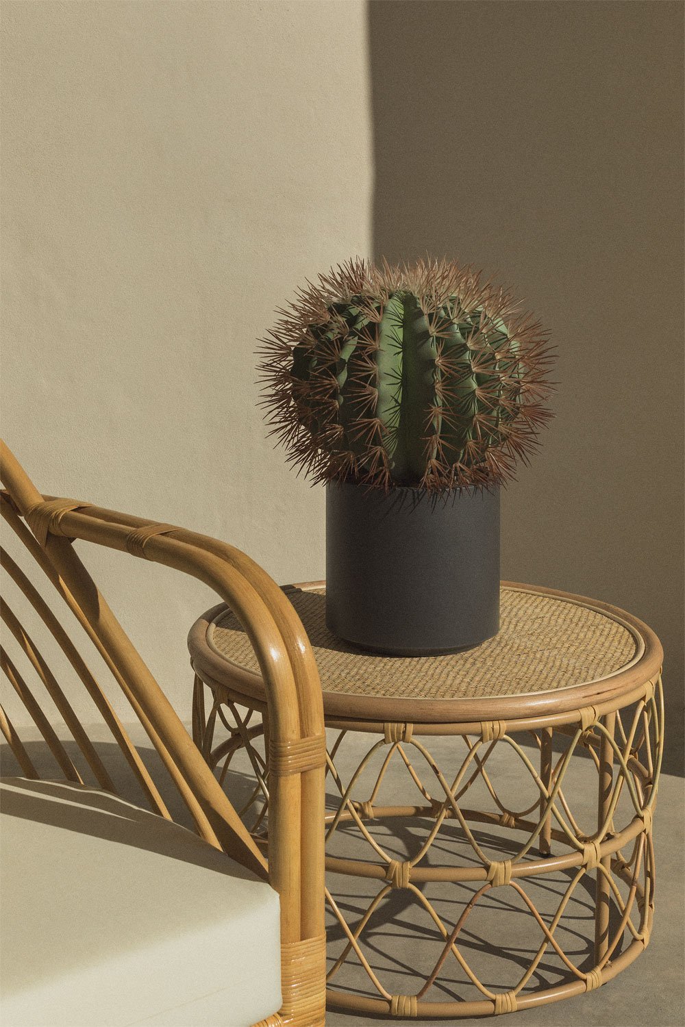 Cactus artificiale Ferocactus , immagine della galleria 1