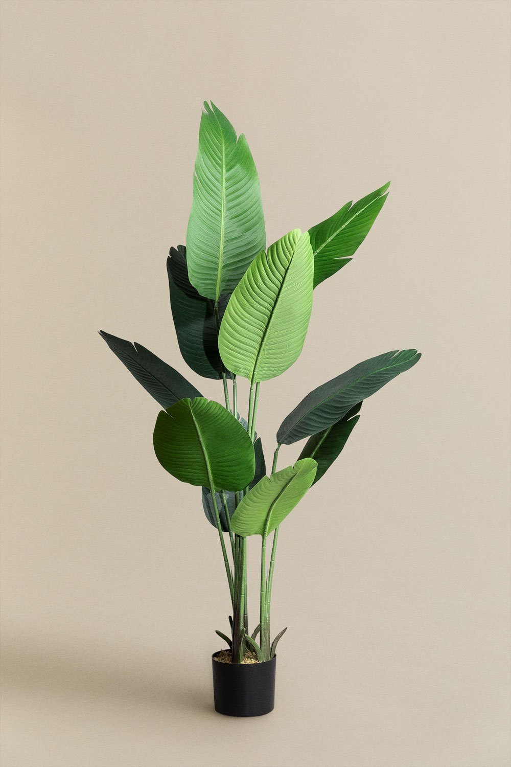 Pianta decorativa artificiale Bananera 160 cm, immagine della galleria 1