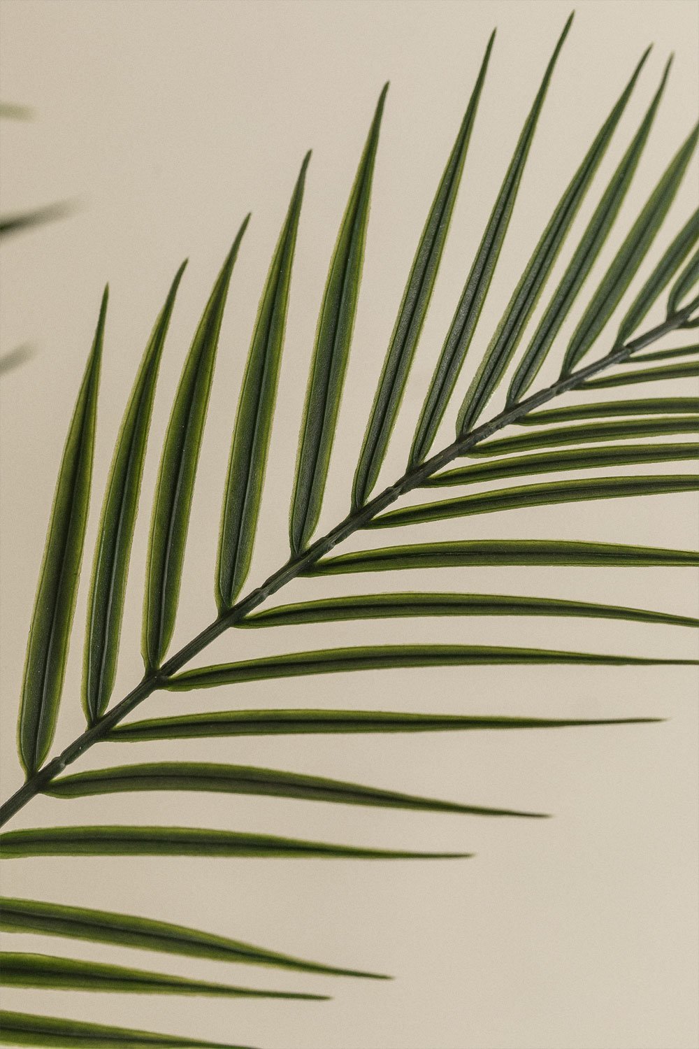 Planta Artificiale Decorativo Palmera Pigmea 110 cm, immagine della galleria 3