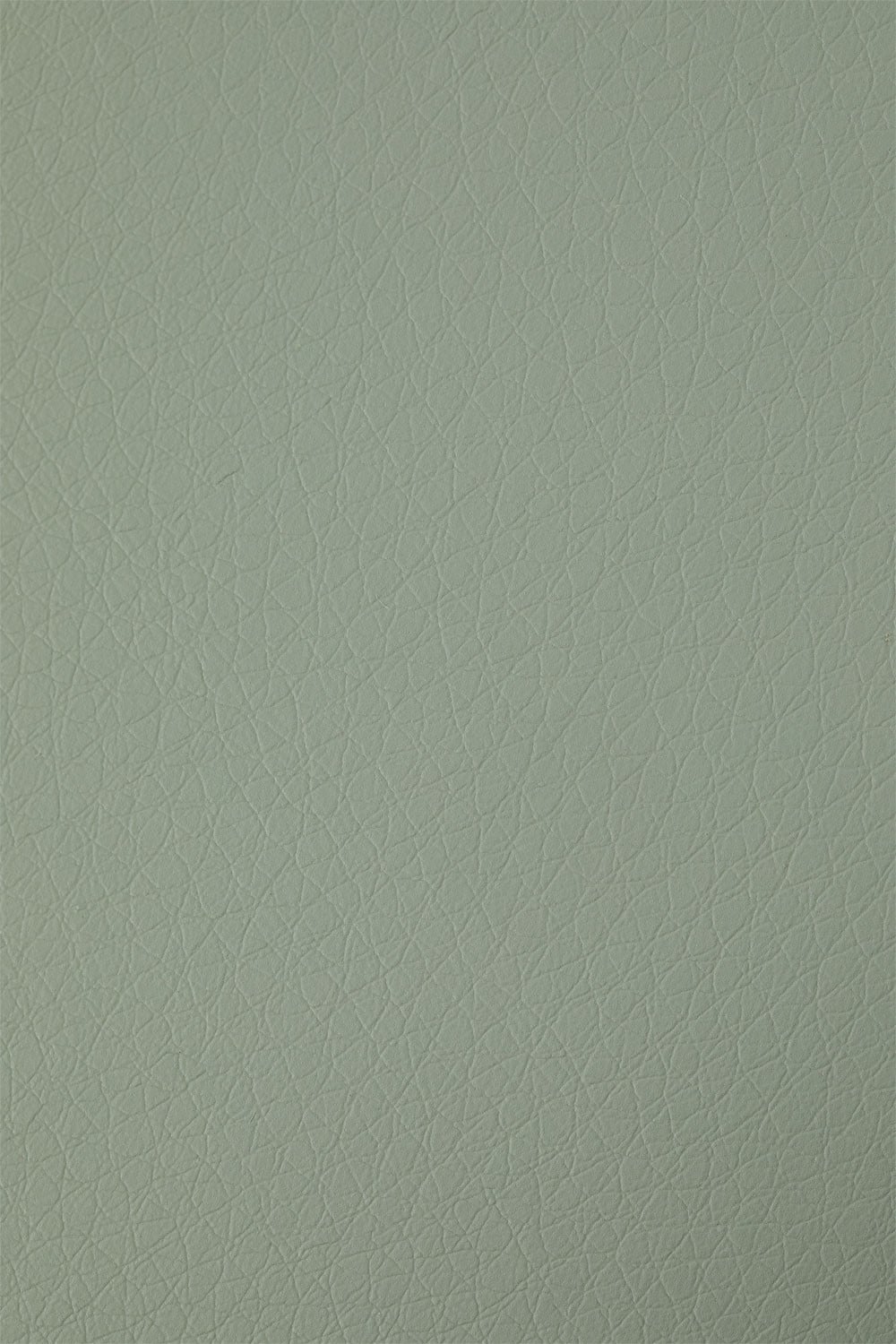 Set di 4 sedie da pranzo in polipropilene e legno di faggio Belyna, immagine della galleria 7