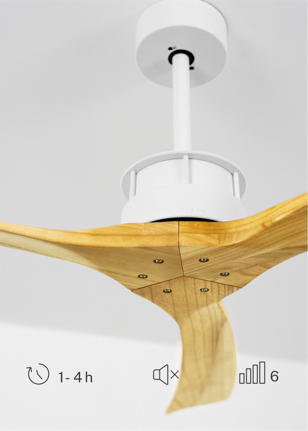 CREATE - WIND LARGE - Ventilatore da soffitto 40W silenzioso XL Ø152 cm 100% legno, immagine della galleria 4