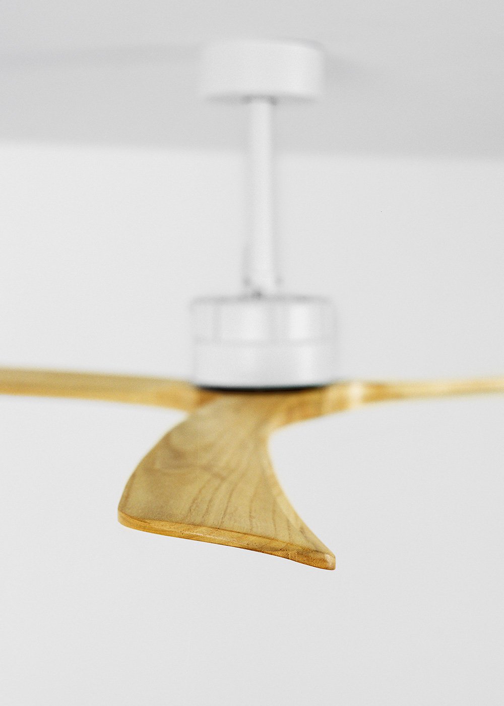 CREATE - WIND LARGE - Ventilatore da soffitto 40W silenzioso XL Ø152 cm 100% legno, immagine della galleria 6