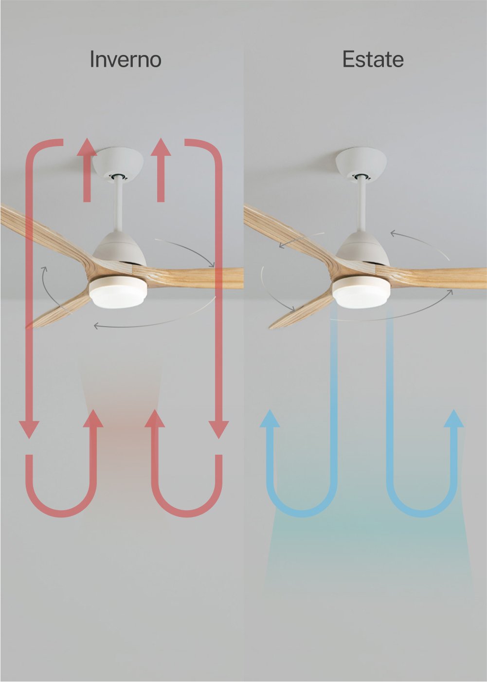 CREATE - WIND CUP - Ventilatore da soffitto 40W silenzioso Ø132 cm 100% legno, immagine della galleria 3