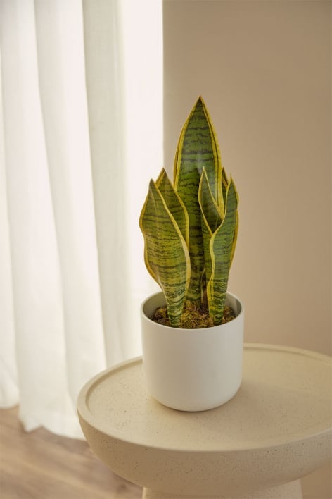 Pianta Artificiale Decorativa Sansevieria 40 cm