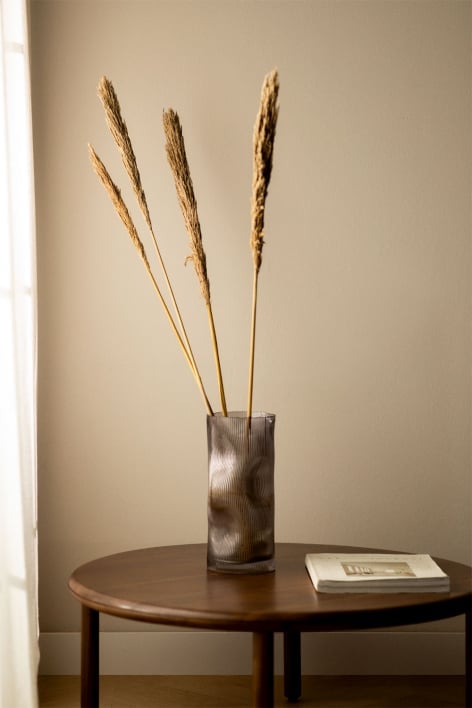 Confezione da 4 rami secchi decorativi Pampy