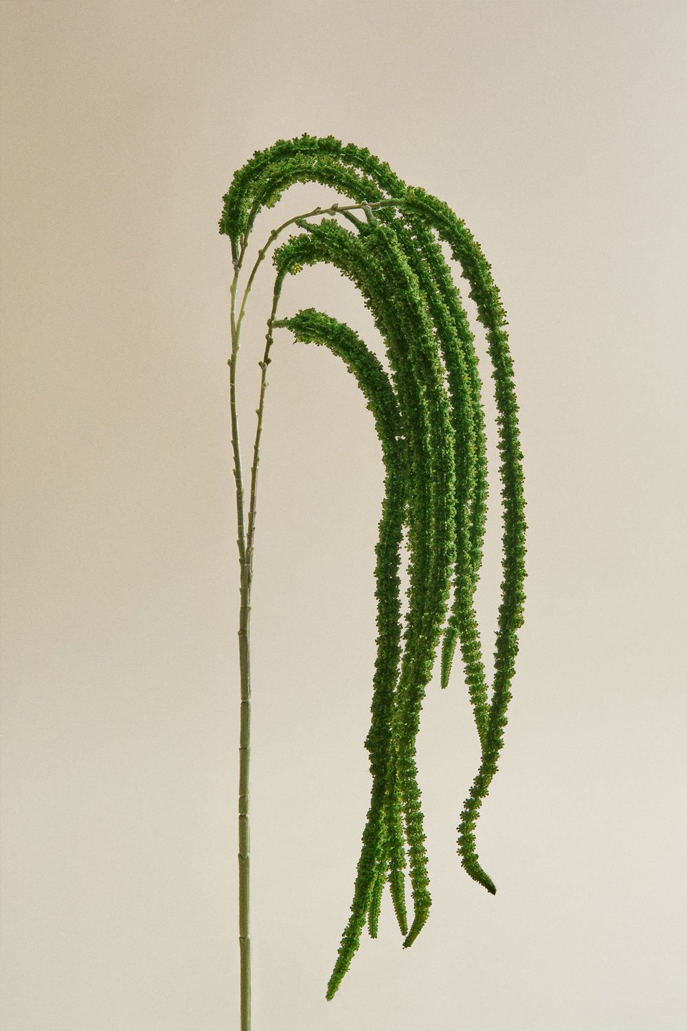 Bouquet decorativo Priscilla, immagine della galleria 3