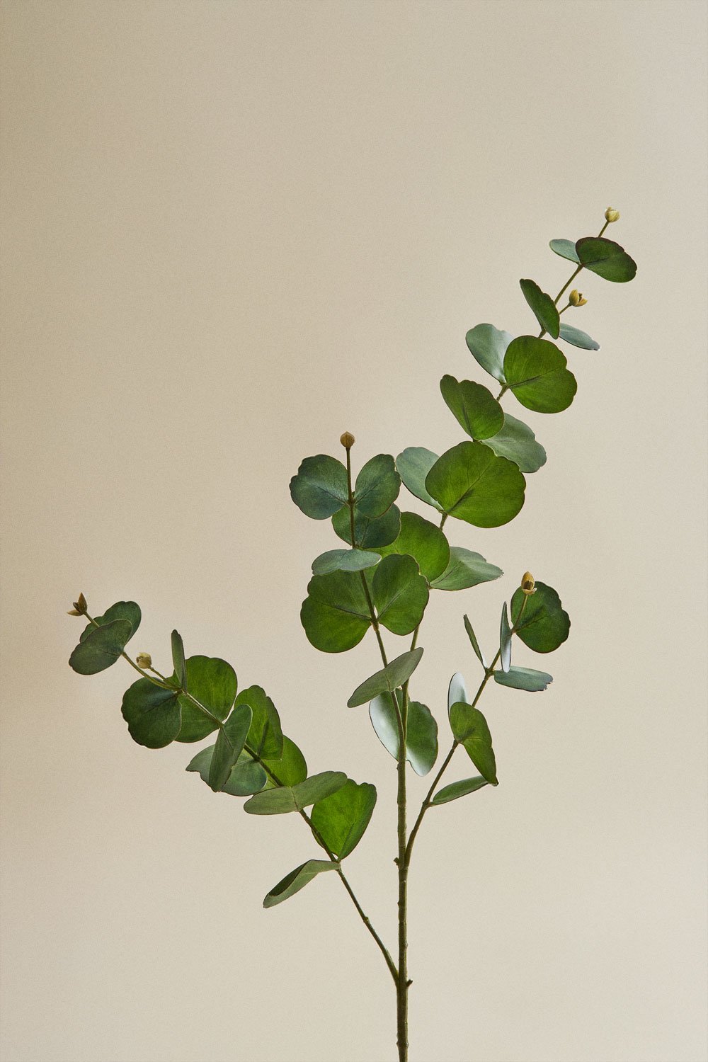 Ramo decorativo Campanula, immagine della galleria 9