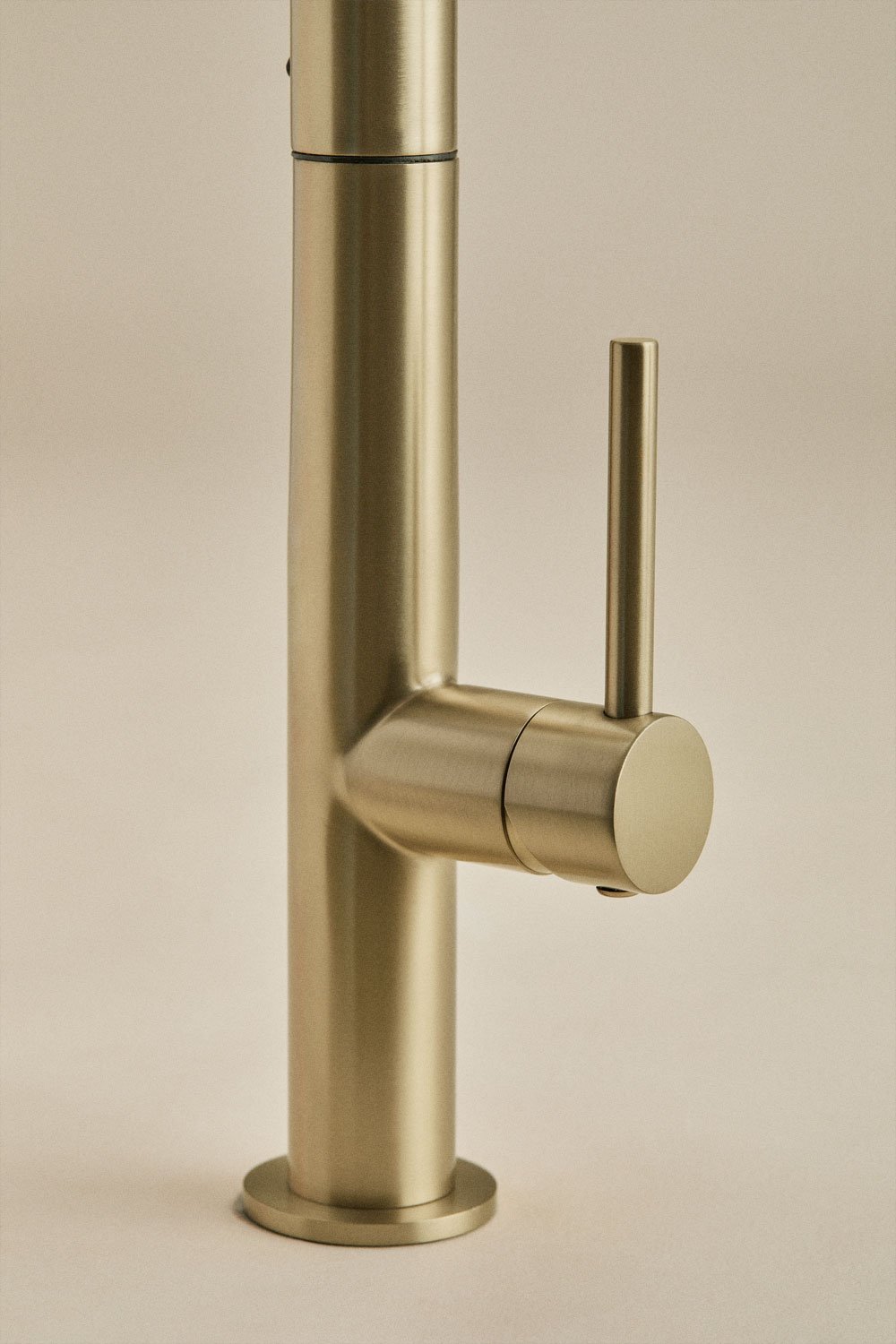 Rubinetto da esterno per cucina con beccuccio alto estraibile in acciaio inox Eryne, immagine della galleria 4