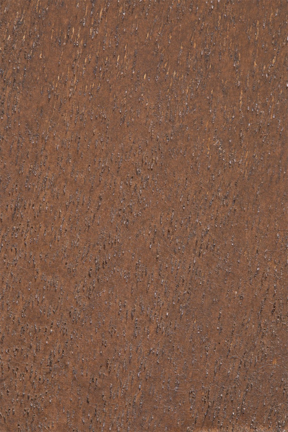 Set di 4 appendiabiti da parete in legno Brana, immagine della galleria 5