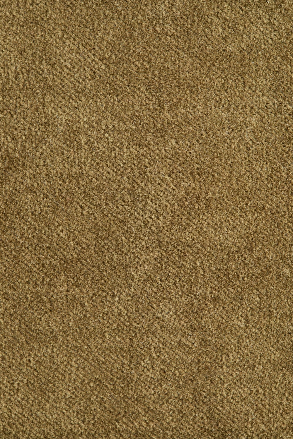 Cuscino quadrato 40x40 cm in cotone Enid, immagine della galleria 7