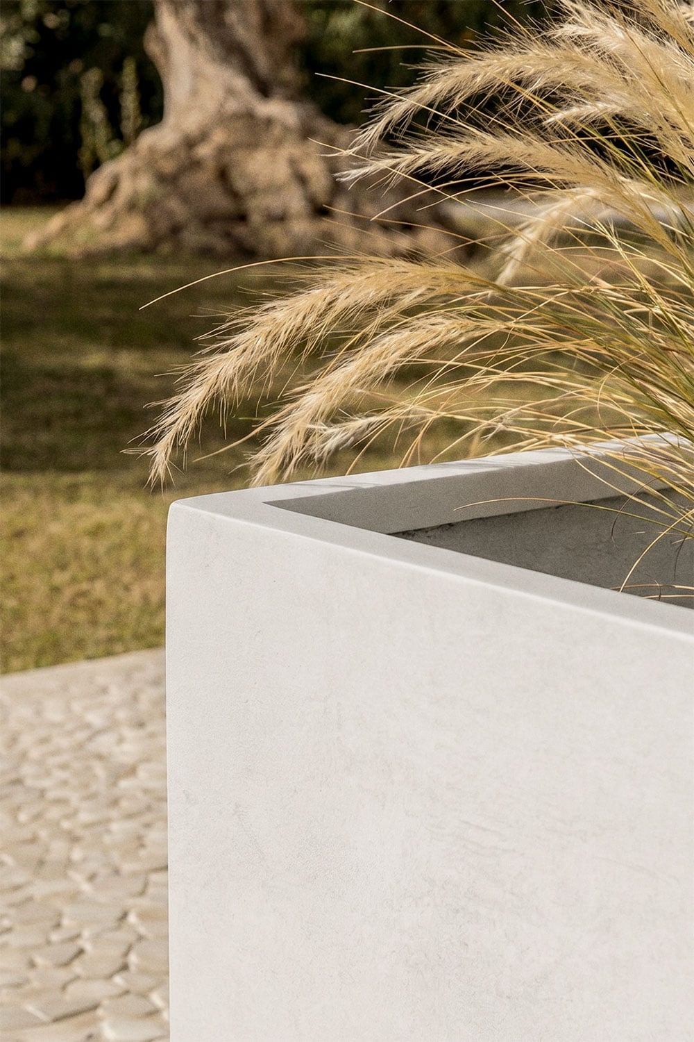 Vaso da esterno quadrato in cemento Lucas, immagine della galleria 2