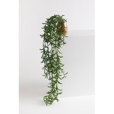 Decoratieve Kunsthangplant Senecio Radicans Donkergroen - Sklum