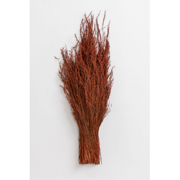 Decoratieve Tak Dimka Rood – Klei - Sklum